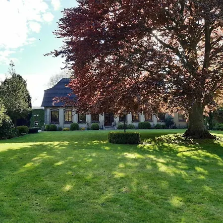 Rotbuche Rabenkirchen-Faulueck