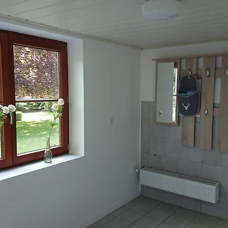 Rotbuche Rabenkirchen-Faulueck