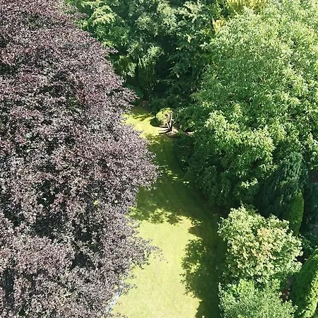 Apartment Rotbuche *