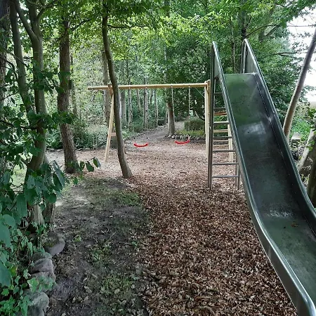 Rotbuche * Rabenkirchen-Faulueck