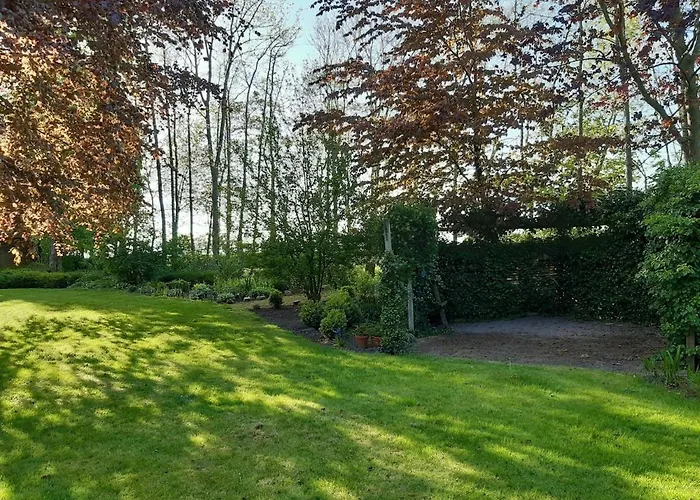 Apartament Rotbuche *