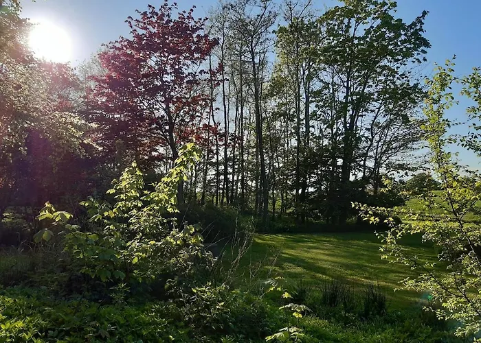 Rotbuche Apartament *