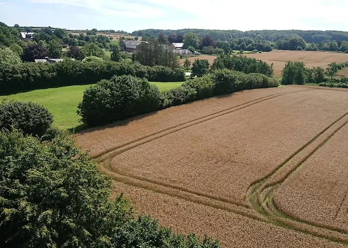 Rotbuche * Rabenkirchen-Faulück